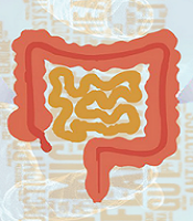 J Microbiota